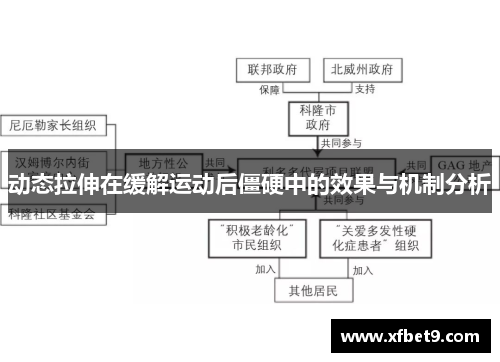 动态拉伸在缓解运动后僵硬中的效果与机制分析